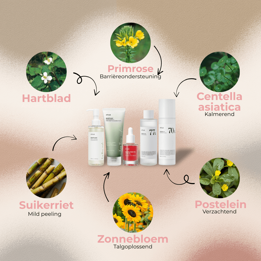 Anua | Ultieme Skincare Routine - Glow House