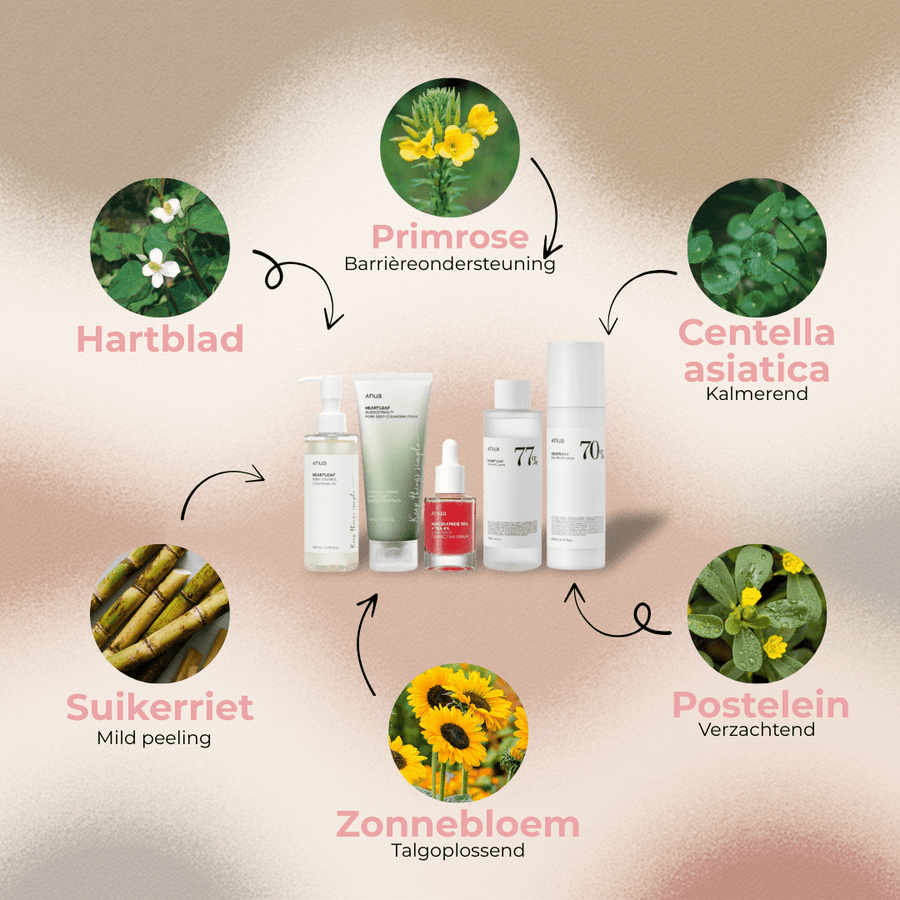 Anua | Ultieme Skincare Routine - Glow House