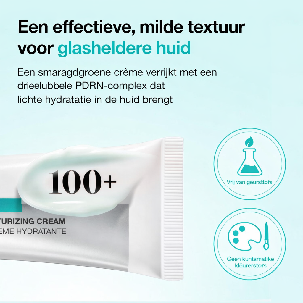 Anua | PDRN Hyaluronic Acid 100 Moisturizing Cream